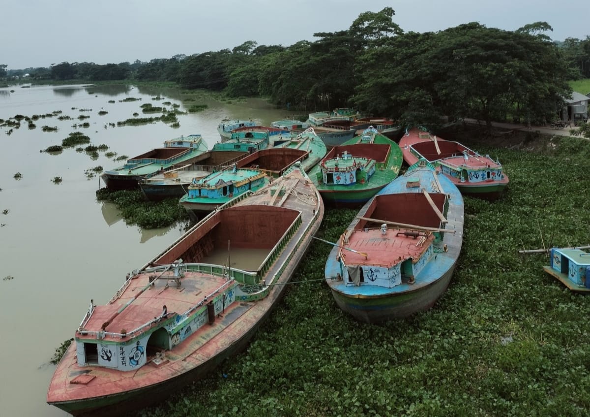 নদীর বুকে সারি সারি নৌকা, প্রকৃতির অপরূপ দৃশ্য