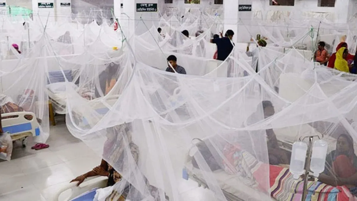 ডেঙ্গুর যেসব লক্ষণ অবহেলা করলেই হতে পারে বিপদ
