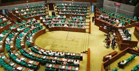 সংসদের উচ্চকক্ষের আসন বণ্টন কীভাবে হবে