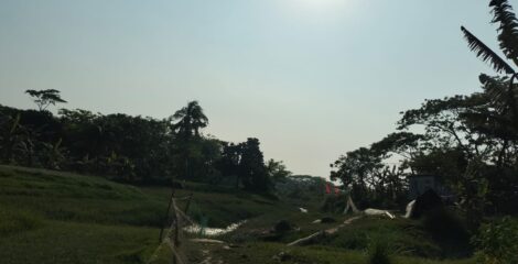 গ্রামবাংলার মেঠোপথ ও সবুজ প্রকৃতির অপরূপ সৌন্দর্য